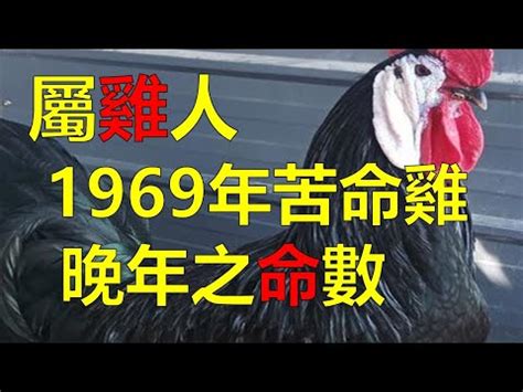 74年次生肖屬什麼|【74年次屬】74年次屬什麼？民國74年西元對照年齡查詢